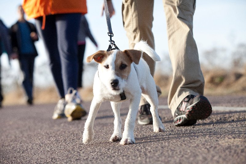 Rando Entre Deux O 2011-2988.jpg